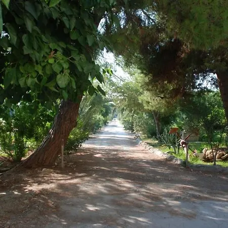 Punta Milocca Sleeps 2 Wifi T764345 * Terrauzza
